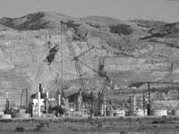 Crane