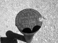Survey Stake
